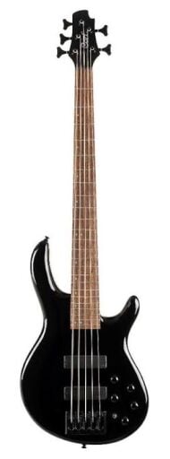 Bas Gitar
